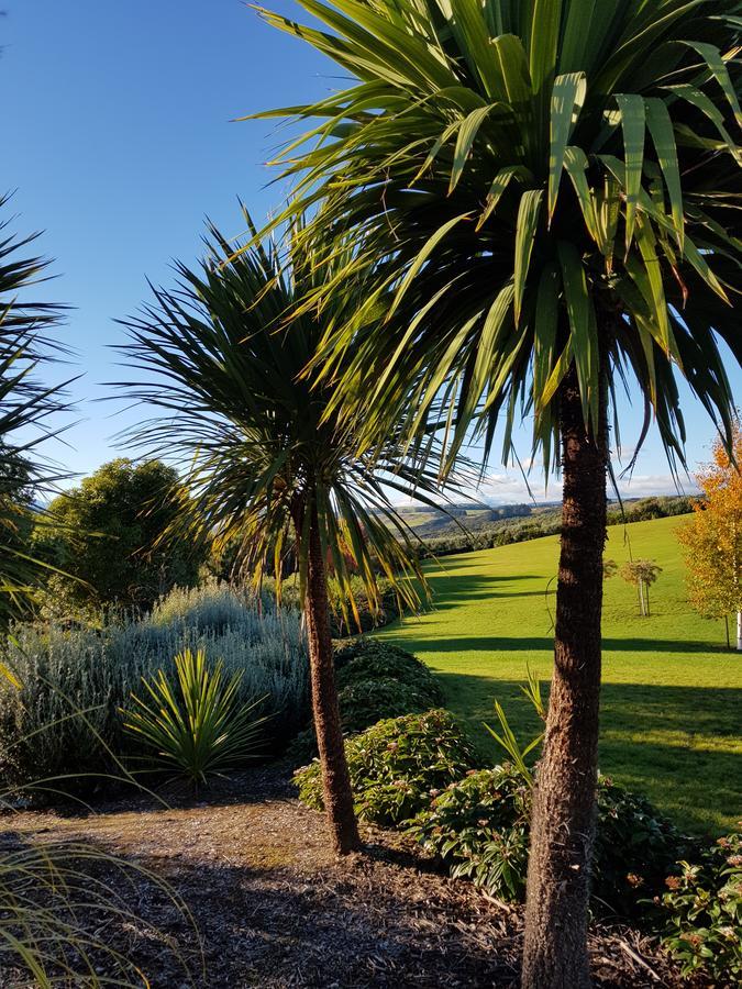 Murchison View Studio Te Anau Esterno foto