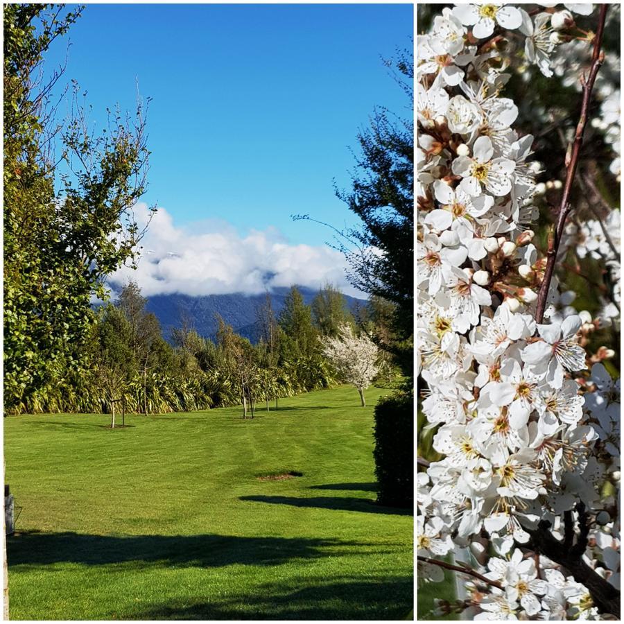 Murchison View Studio Te Anau Esterno foto
